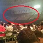 Nghệ sĩ Hoa Ngữ tổ chức live show âm nhạc