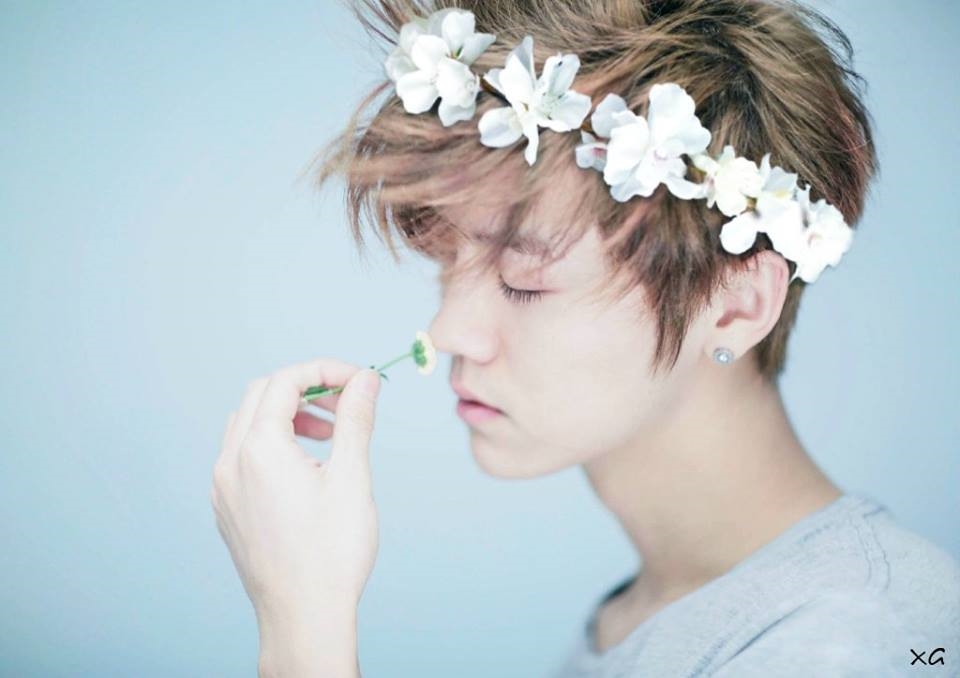 Những câu nói hay của idol bạn là gì?