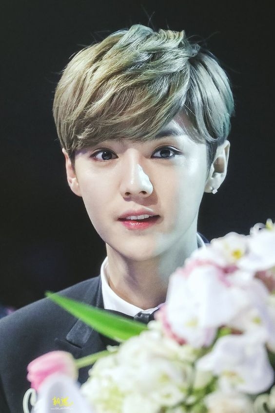 Những câu nói hay của idol bạn là gì?