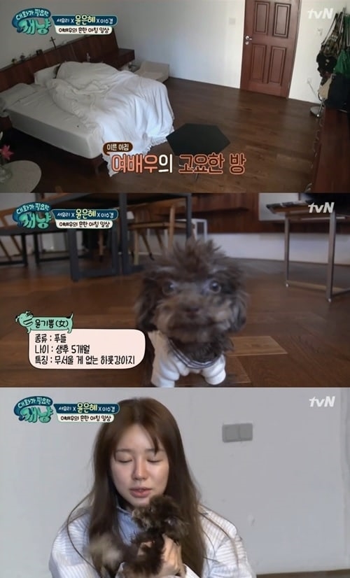Yoon Eun Hye khoe nhà đẹp đầy phong cách trong show truyền hình mới