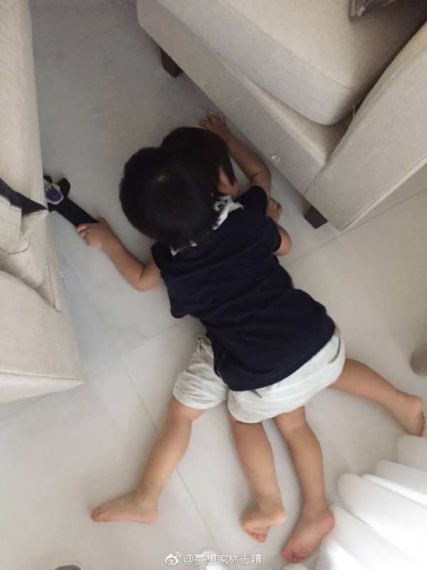 Lâm Chí Dĩnh, ông bố đáng ghen tỵ nhất Hoa ngữ vì có 3 cậu con trai