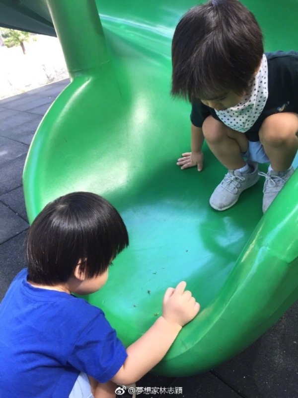 Lâm Chí Dĩnh, ông bố đáng ghen tỵ nhất Hoa ngữ vì có 3 cậu con trai