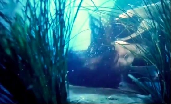 Triệu Lệ Dĩnh lao đào vì bị tố yêu sách trên phim trường