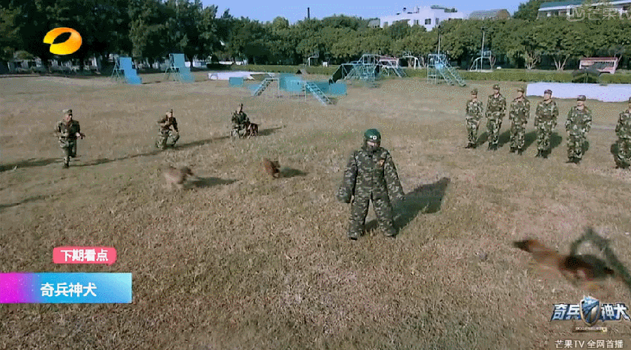 Trương Hinh Dư nhận được lời khuyên của Dương Mịch vì bị ném đá