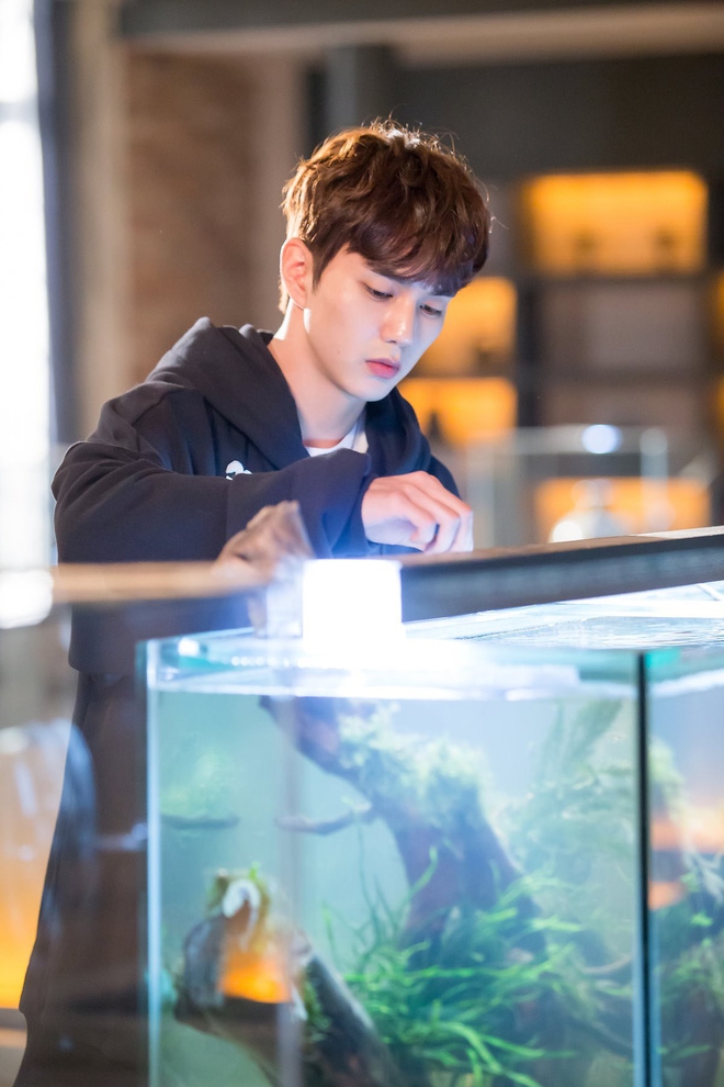 Yo Seung Ho đẹp trai “chết người” sánh đôi bên mỹ nhân trong phim mới