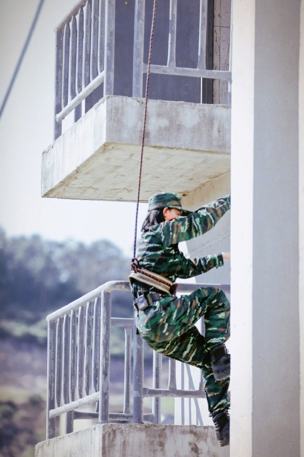 Trương Hinh Dư nhận được lời khuyên của Dương Mịch vì bị ném đá