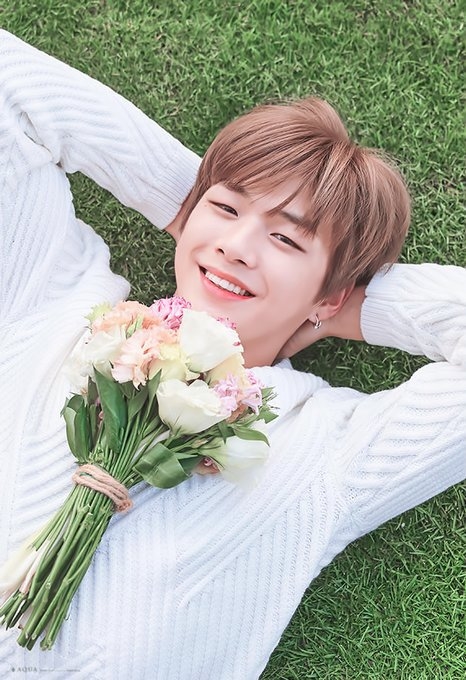 Những "cây hút fan" của nhóm nhạc Kpop