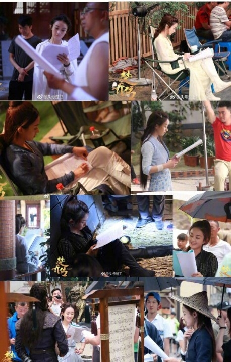 Triệu Lệ Dĩnh bị đặt dấu hỏi lớn cho lòng kính nghề của mình