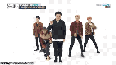 Super Junior nhận Daesang của Weekly Idol vì nhảy dở