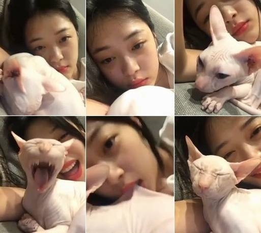 Những phen 'điêu đứng' vì tin đồn thất thiệt của loạt sao Hàn