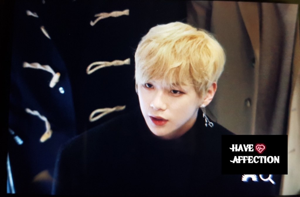 Diện mạo đẹp hoàn hảo của Kang Daniel khiến fan mê mệt