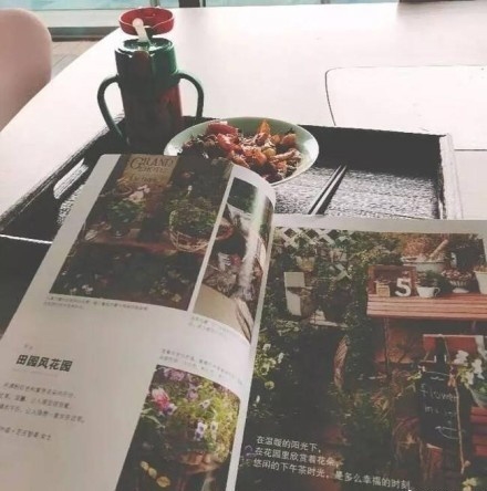 Trịnh Sảng tuyên bố rời khỏi làng giải trí khiến fan lo sốt vó