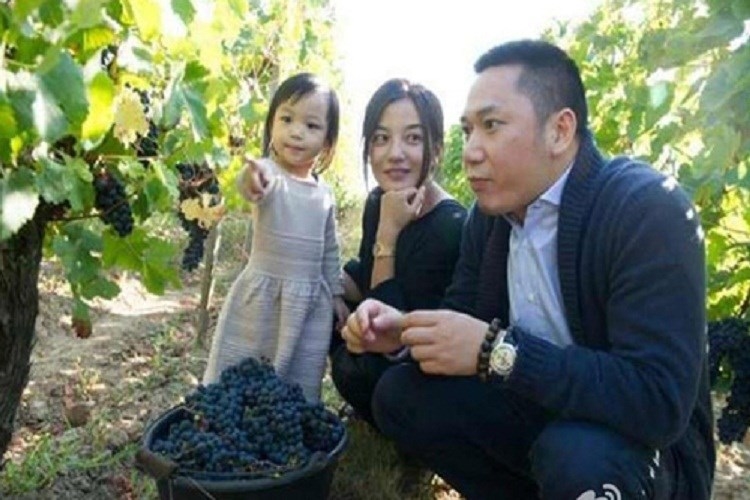 Đây là người yêu mà Triệu Vy không muốn nhắc đến, còn từng đánh cô