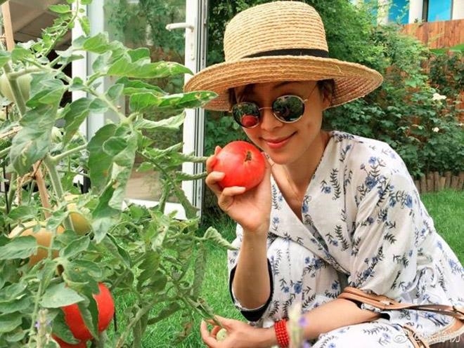 Cuộc đời Tịnh Sơ xuống dốc không phanh vì lỡ đắc tội Phạm Băng Băng