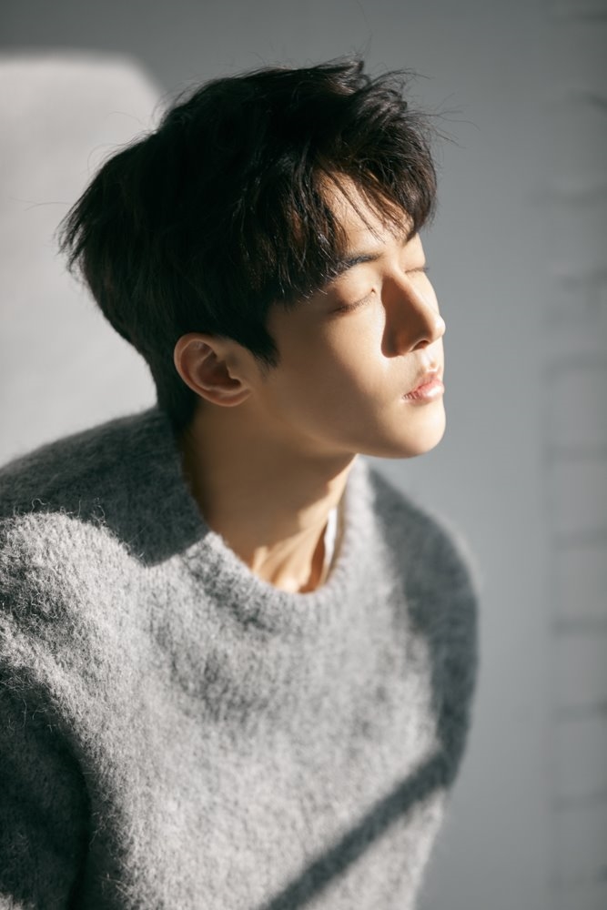Nam Joo Hyuk tung bộ ảnh mới chủ đề bốn mùa cực đẹp mừng sinh nhật