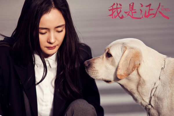 Những bằng chứng cho thấy bảo Dương Mịch không hợp với trai trẻ là sai