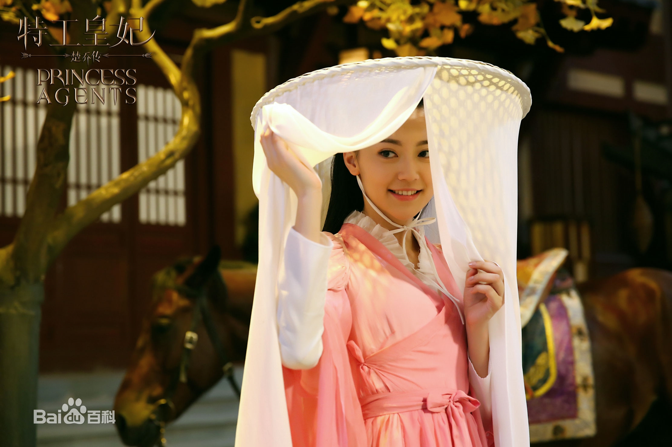 Đặt lên bàn cân các “gà nhà” của Dương Mịch