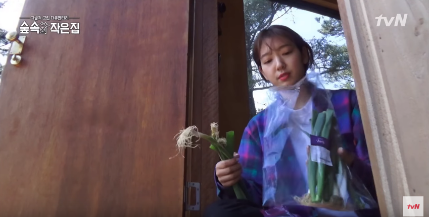 Park Shin Hye tham gia chương trình mới cùng So Ji Sub