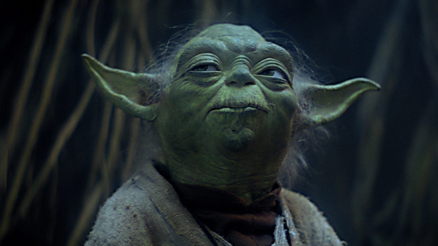 Chúng tôi thực sự rất muốn được xem Yoda trở lại đó!