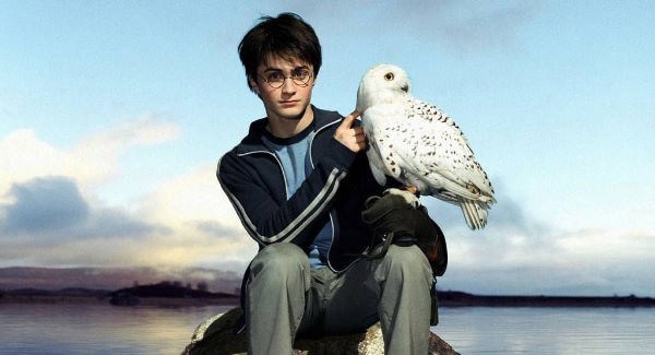 Những điều thú vị về bộ phim Harry Potter