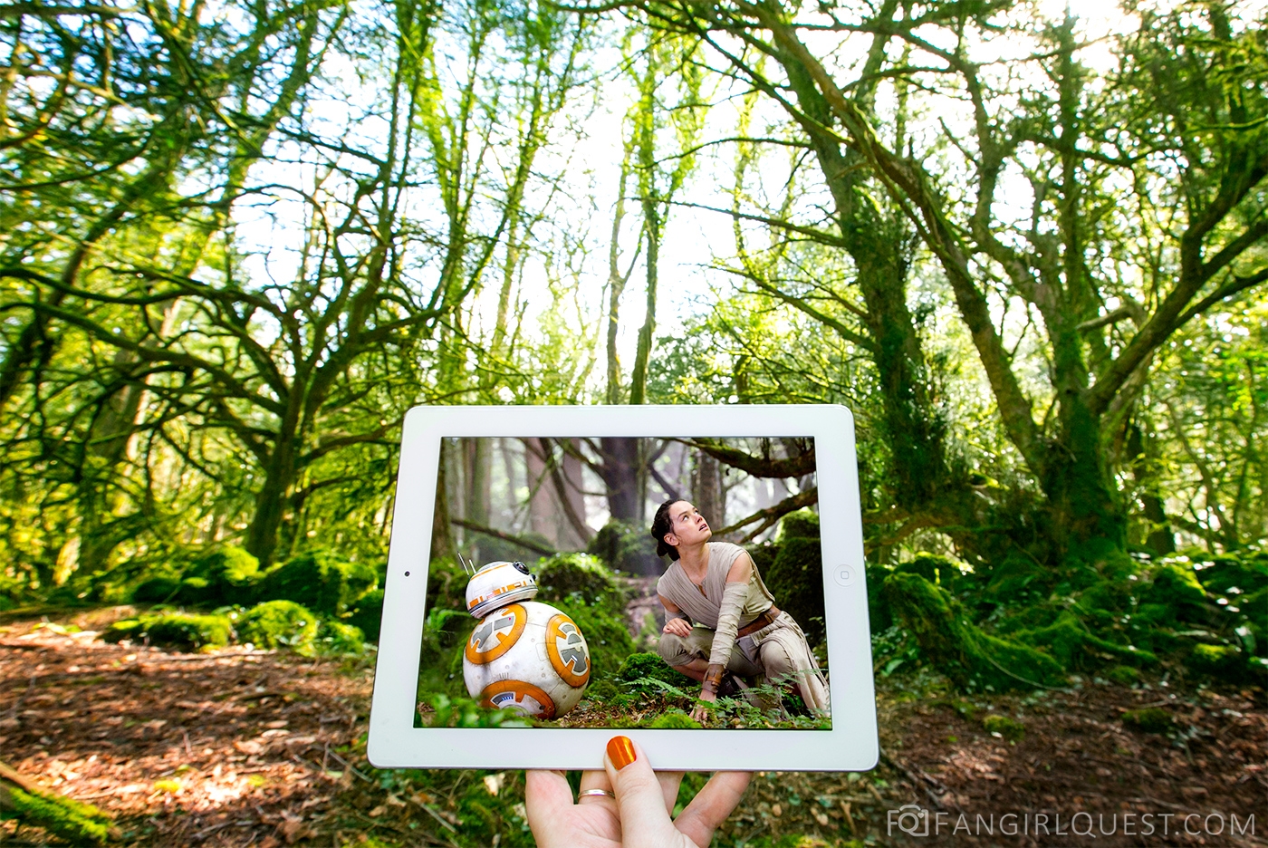 Star Wars: The Force Awakens - Rừng Puzzlewood, Anh quốc.