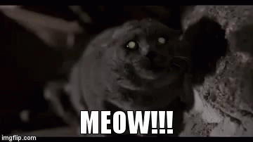 Hình ảnh đầu tiên xác nhận Pet Sematary 2019 đã được bấm máy.