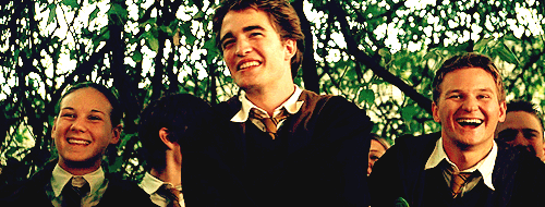 Những chàng hotboy trong series Harry Potter
