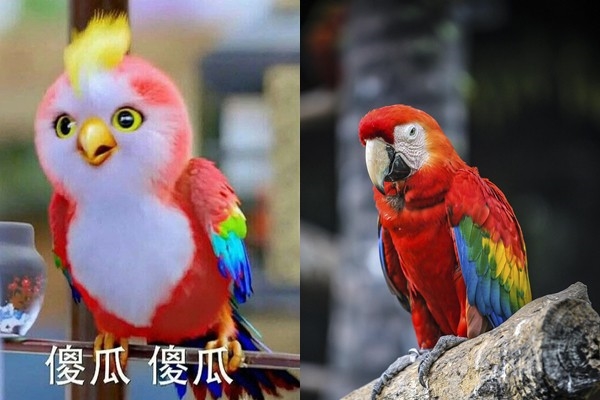 Những diễn viên không nhận cát xê trong phim cổ trang Trung Quốc
