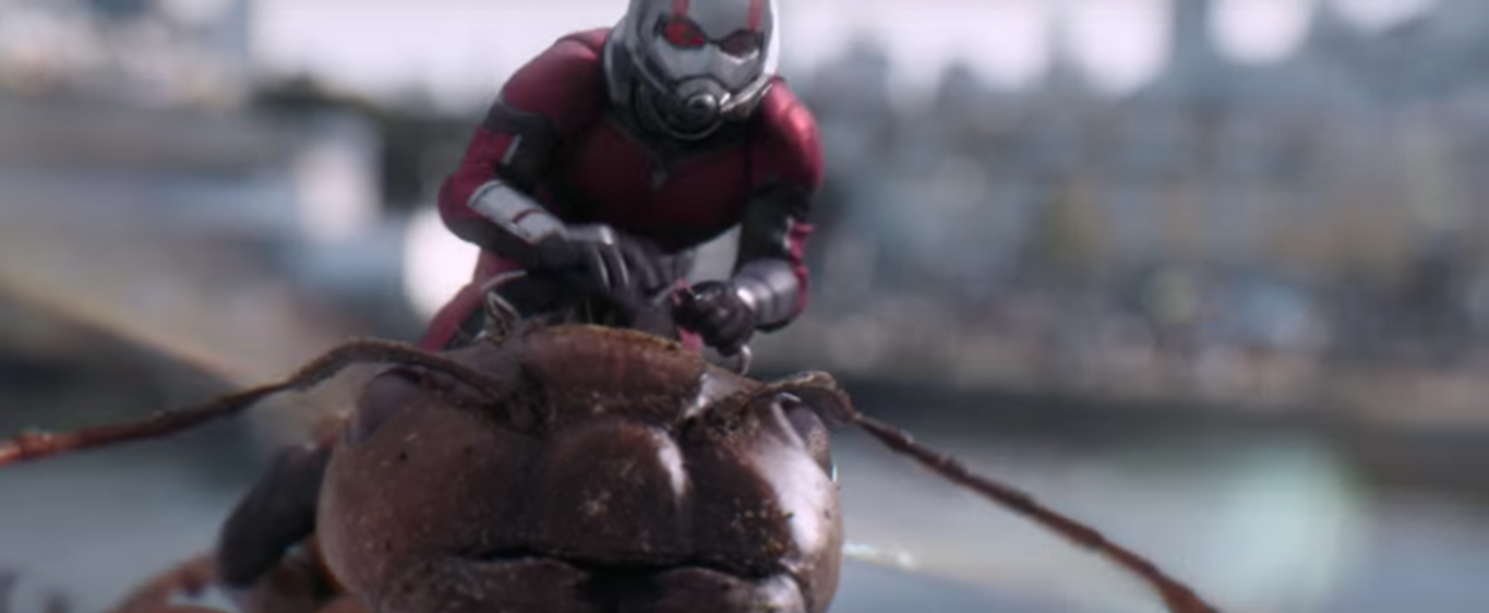 Chào mừng bé Antonio Banderas thứ n của Scott Lang.