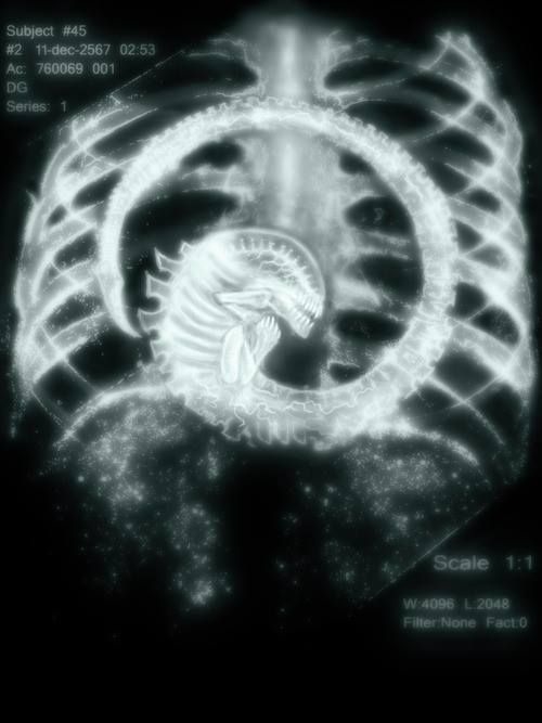 Những điều cần biết về quái vật Xenomorph trong seri phim Alien