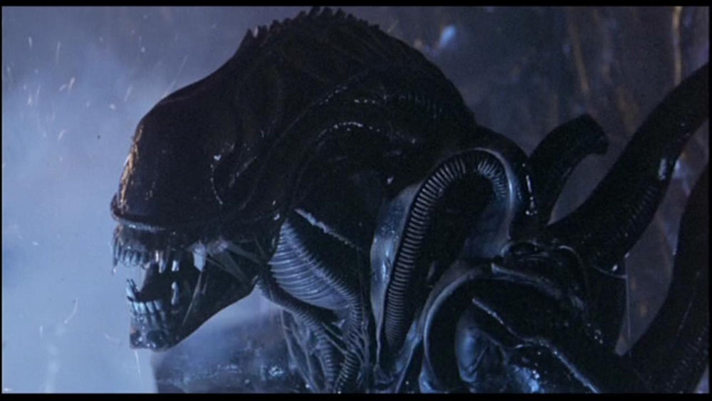 Những điều cần biết về quái vật Xenomorph trong seri phim Alien