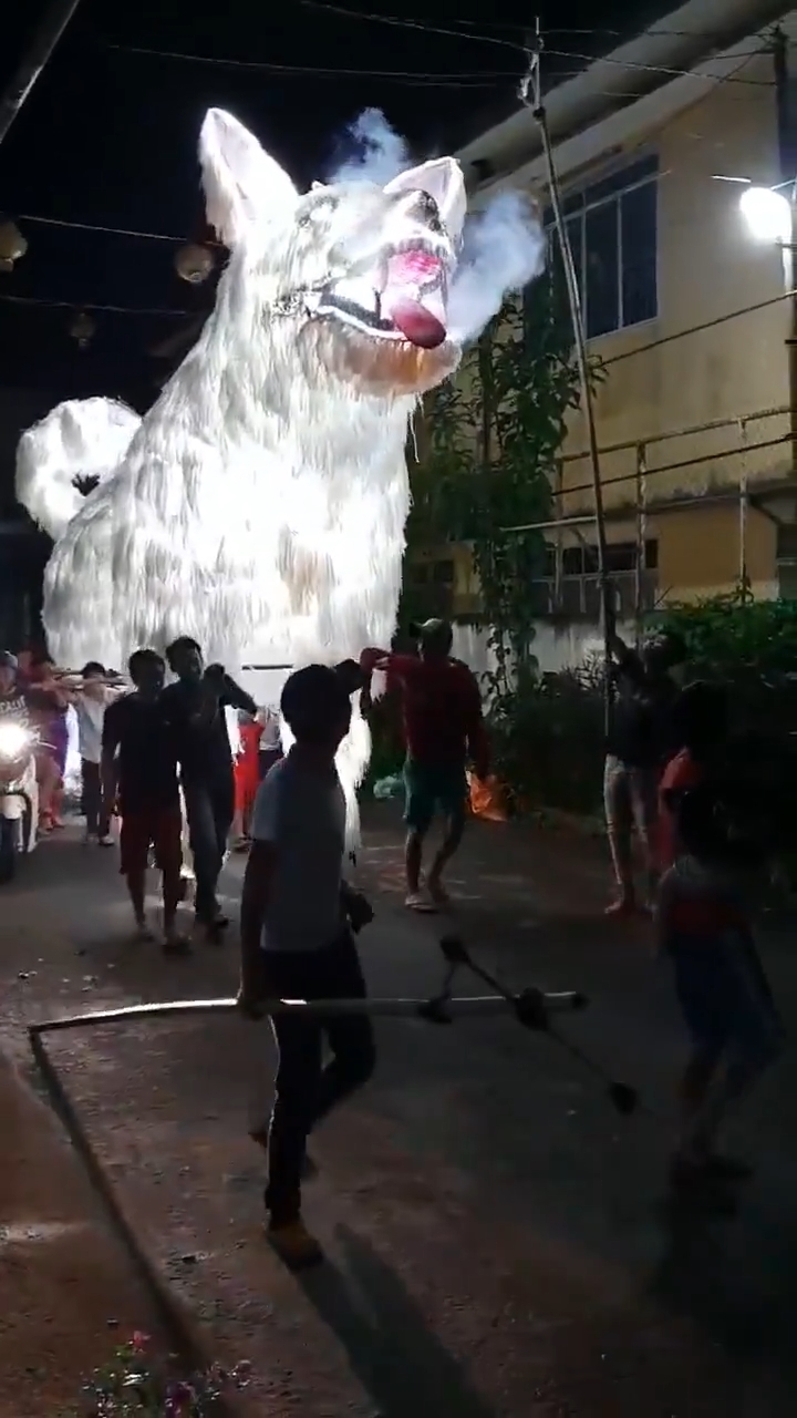 Loạt clip hài hước ấn tượng đang khiến cộng đồng mạng cười nghiêng ngả