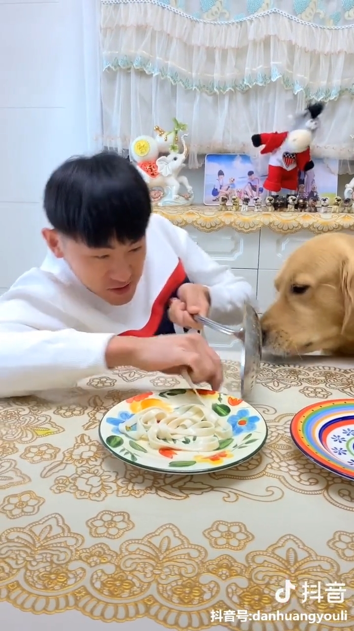 Những lần lên cơn 'ngáo' không giống ai của các boss mèo và chó