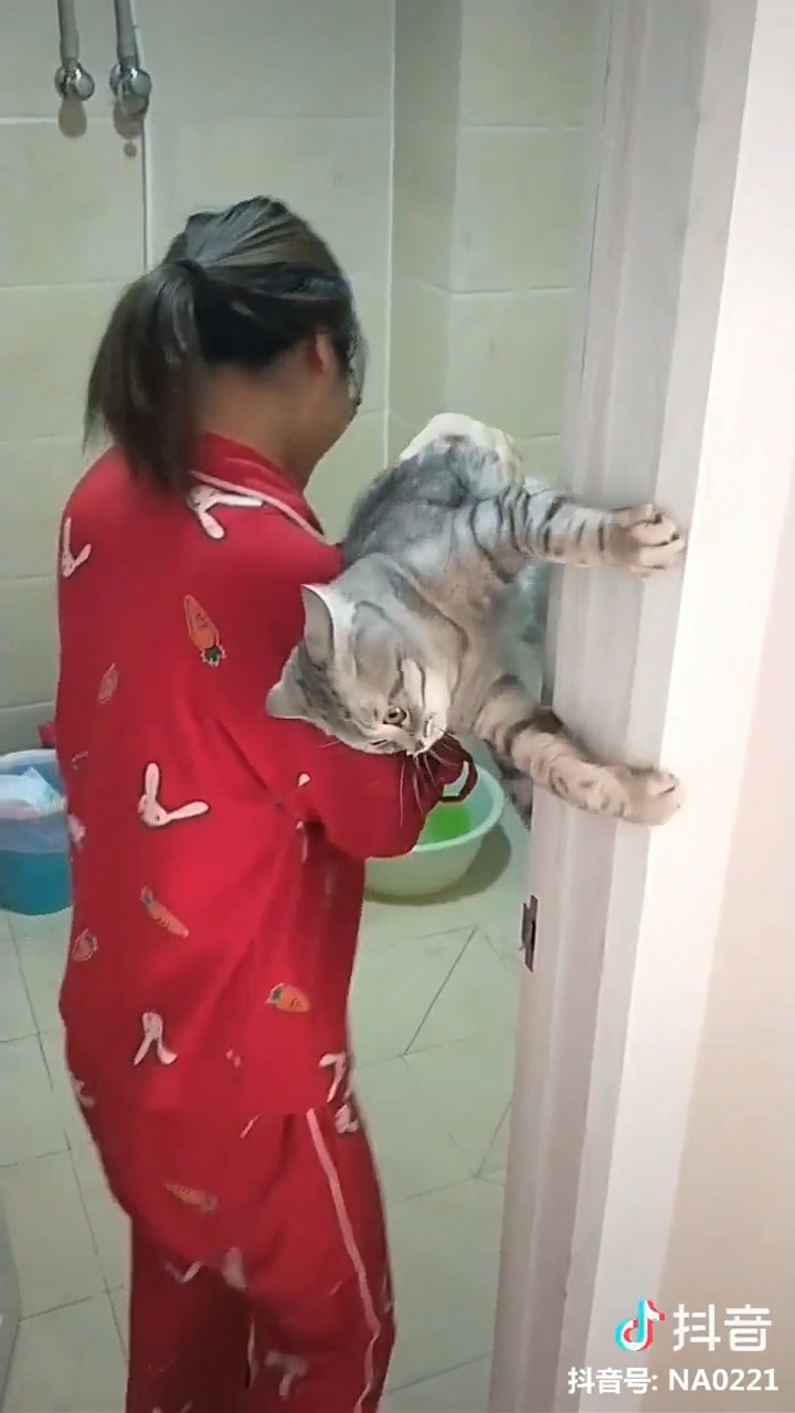 Clip hot thú cưng 20/02: Những nỗi bất đắc dĩ của boss mèo