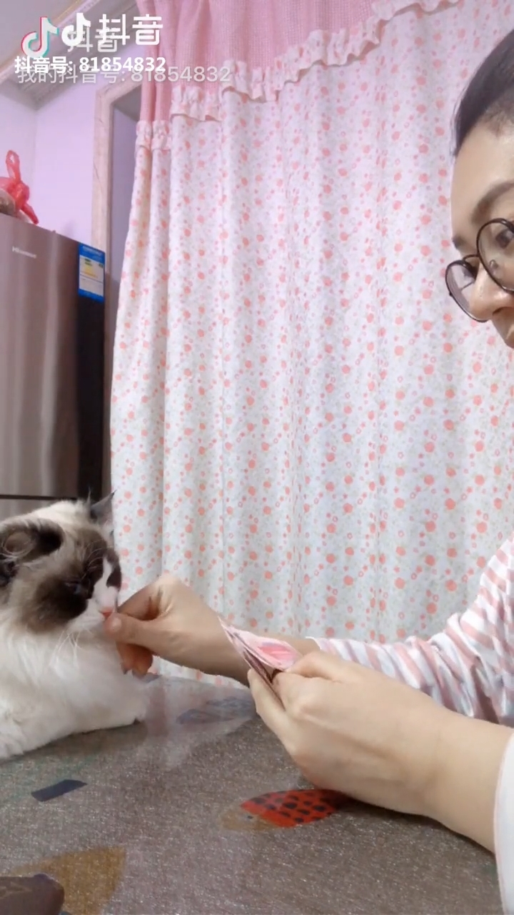 Clip hot thú cưng 23/02: Chó cũng đam mê vật chất, mèo bị chọc vì béo