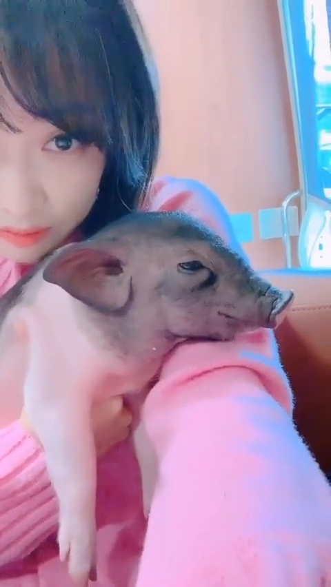 Clip hot Cbiz 21/03: Dương Mịch lạ lẫm với sườn xám