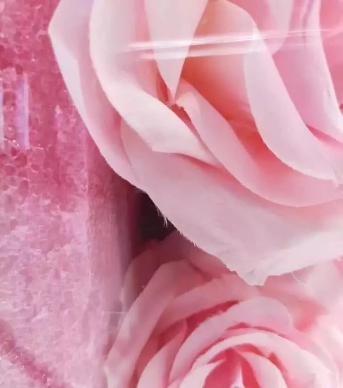 Lễ cầu hôn của siêu mẫu Victoria's Secret bị bóc phốt là chiêu trò