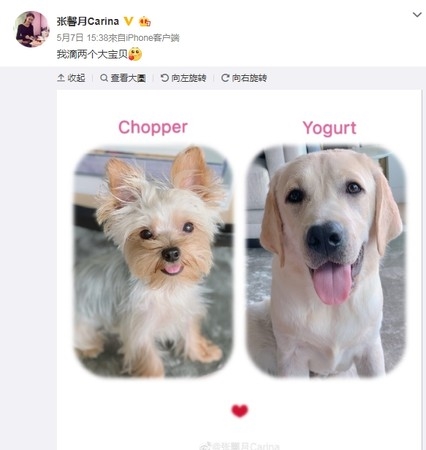Lâm Phong cầu hôn bạn gái thành công, cuối năm sẽ là 'chồng người ta'?