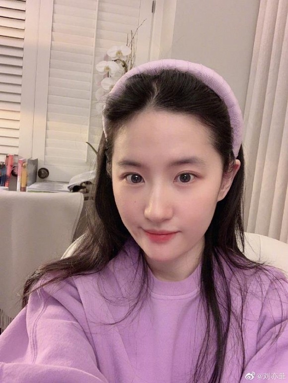 Lưu Diệc Phi, Trần Khôn và dàn sao Gia Tộc Kim Phấn sau 17 năm