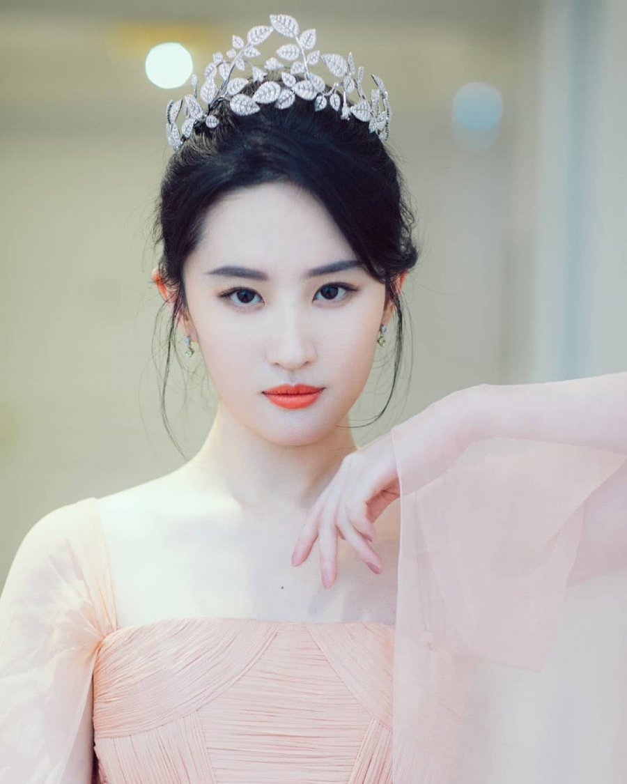 Lưu Diệc Phi, Trần Khôn và dàn sao Gia Tộc Kim Phấn sau 17 năm