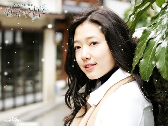 Park Shin Hye và 10 tác phẩm đưa tên tuổi lên hàng ngôi sao