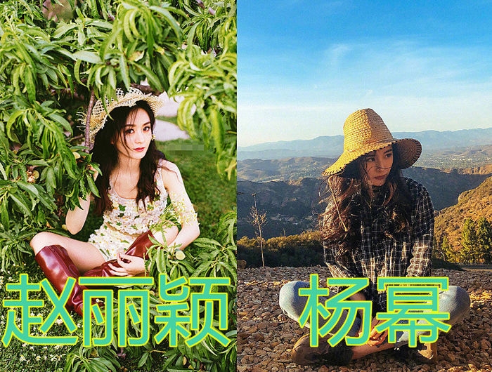 Triệu Lệ Dĩnh bất ngờ bị tố bắt chước phong cách của Dương Mịch