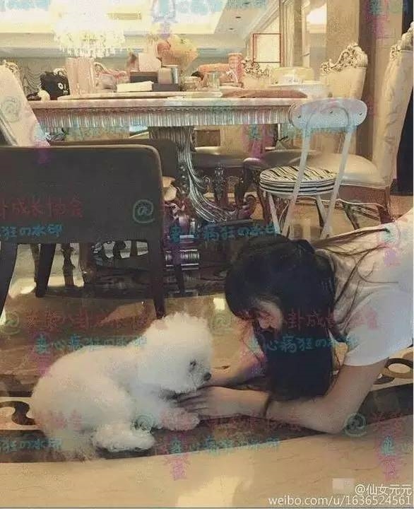 Triệu Lệ Dĩnh và dàn mỹ nhân Cbiz có dinh thự nghìn tỷ ít người biết