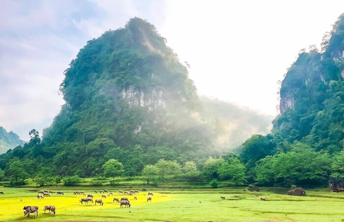 'Kiều' tung teaser gây tranh cãi: Đạo cụ thời hiện đại, y phục màu mè