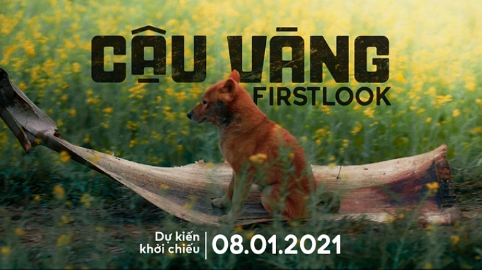 Cậu Vàng gặp biến, ê-kíp chê cộng đồng mạng Việt là dân trí thấp