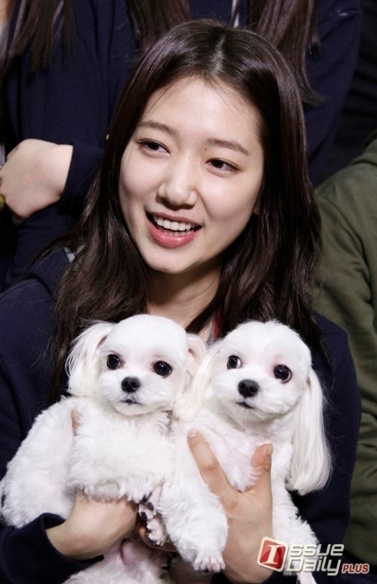 Park Seo Joon và loạt sao Hàn có thú cưng cực đáng yêu 