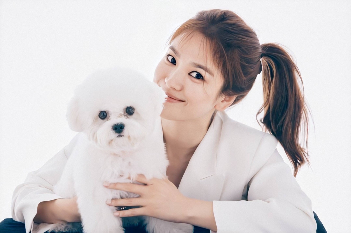 Song Hye Kyo, Jang Nara và hội mỹ nhân trẻ hóa nhờ tóc đuôi ngựa