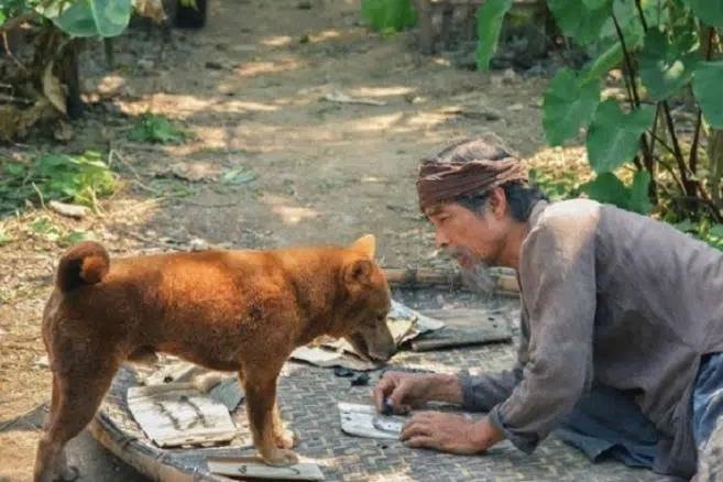 Băng Di bị sụp đổ hình ảnh chỉ vì phát ngôn 'thiếu muối' về Lão Hạc