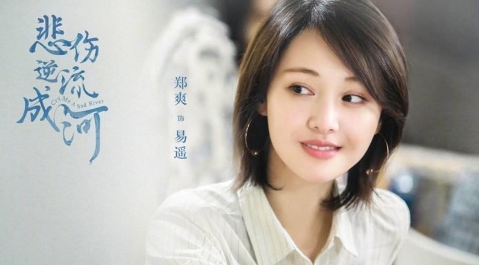 Hạ Chí Chưa Tới và các bộ phim làm nên thành công của Trịnh Sảng