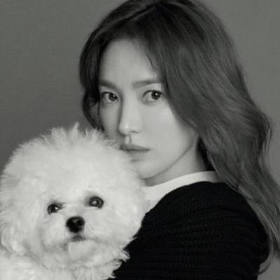 Giống chó khiến sao Hàn mê tít: Song Hye Kyo đưa hẳn lên tạp chí 